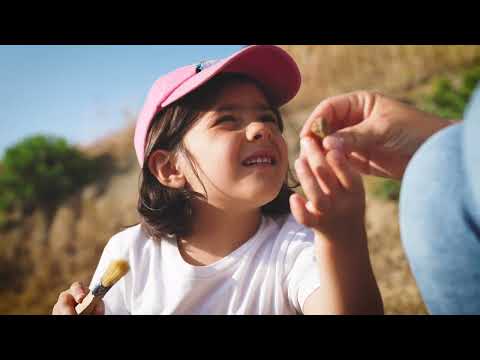 Video Laboratori didattici per le scuole e famiglie