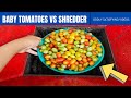 Baby Tomato vs Shredder | Top 50 Moments When The Shredder Got Really Dirty