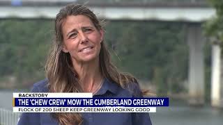 Unique workforce maintains vegetation in North Nashville