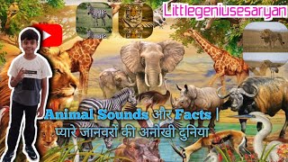 Animal Sounds और Facts पयर जनवर क अनख दनय Sounds For Kids Animal Facts