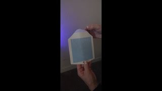 Easy to use, catches all the lil fruit fly's