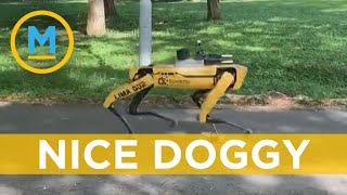 Robot being used to help physical distancing efforts in Singapore | Your Morning