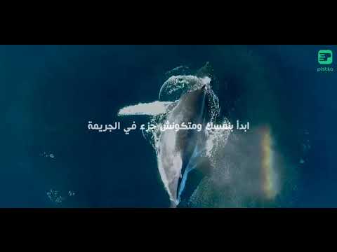 جريمة فى المحيط بلستكة