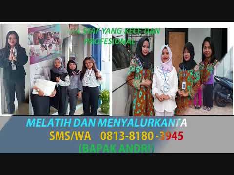 Lowongan Kerja Baby Sitter