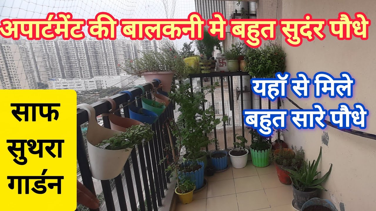 How you can help your plant lover friend? My friend's balcony garden overview.