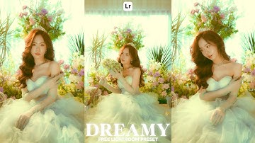 Dreamy Preset | Lightroom Mobile Preset Free DNG | glowing effect | lightroom preset | dreamy tone
