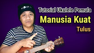 Manusia Kuat - Tulus tutorial ukulele pemula