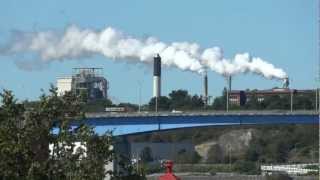 Irving Tissue, St John NB