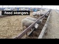 Feed Mangers Used For Ewes and Finishing Lambs |  Vlog 58
