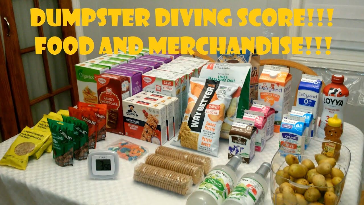 Dumpster Diving in Canada for Free Stuff!!! YouTube