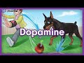 Dopamine Mnemonic for NCLEX | Nursing Pharmacology