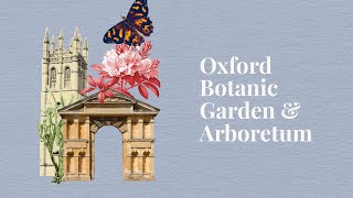 Discover Oxford Botanic Garden & Arboretum