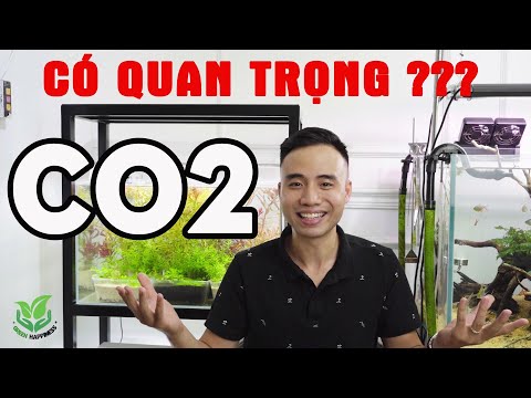 Video Thí nghiệm: Vai trò của Co2 đối với cây thủy sinh... - youtube