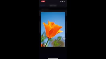 How To Fix 3D Touch Haptic Touch Not Working on iPhone 11 pro or iOS 13