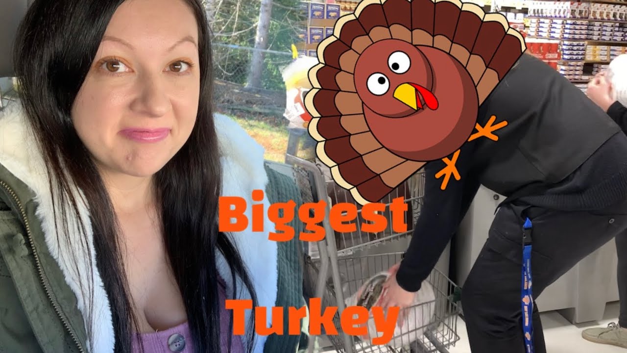 Finding The Biggest Turkey For Thanksgiving Youtube