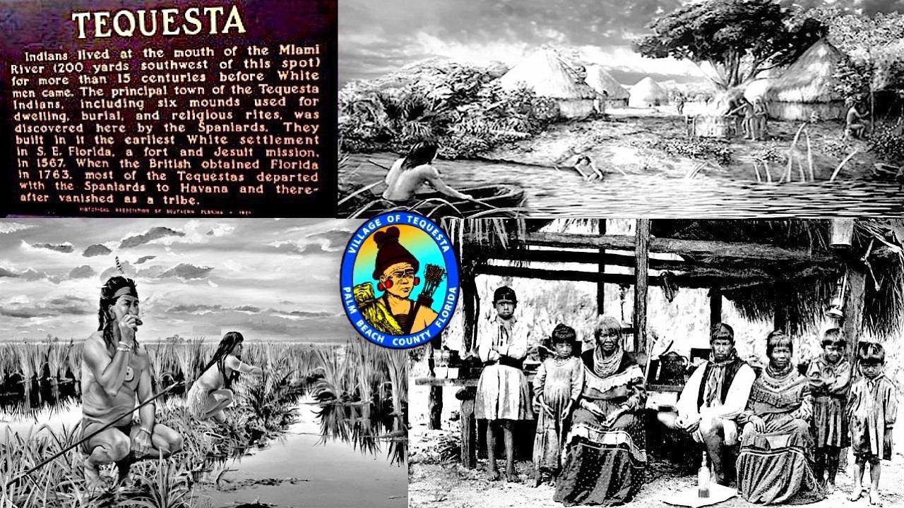 Thumbnail for Tekesta: The Tequesta People & Tribe - Eastern Woodlands - Lower Florida, USA, "Turtle Island"