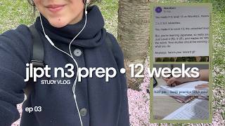 ep. 03 - study vlog // 15 hours in 4 days (JLPT N3 countdown)