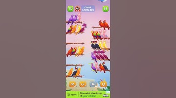 #bird #sort #level 225
