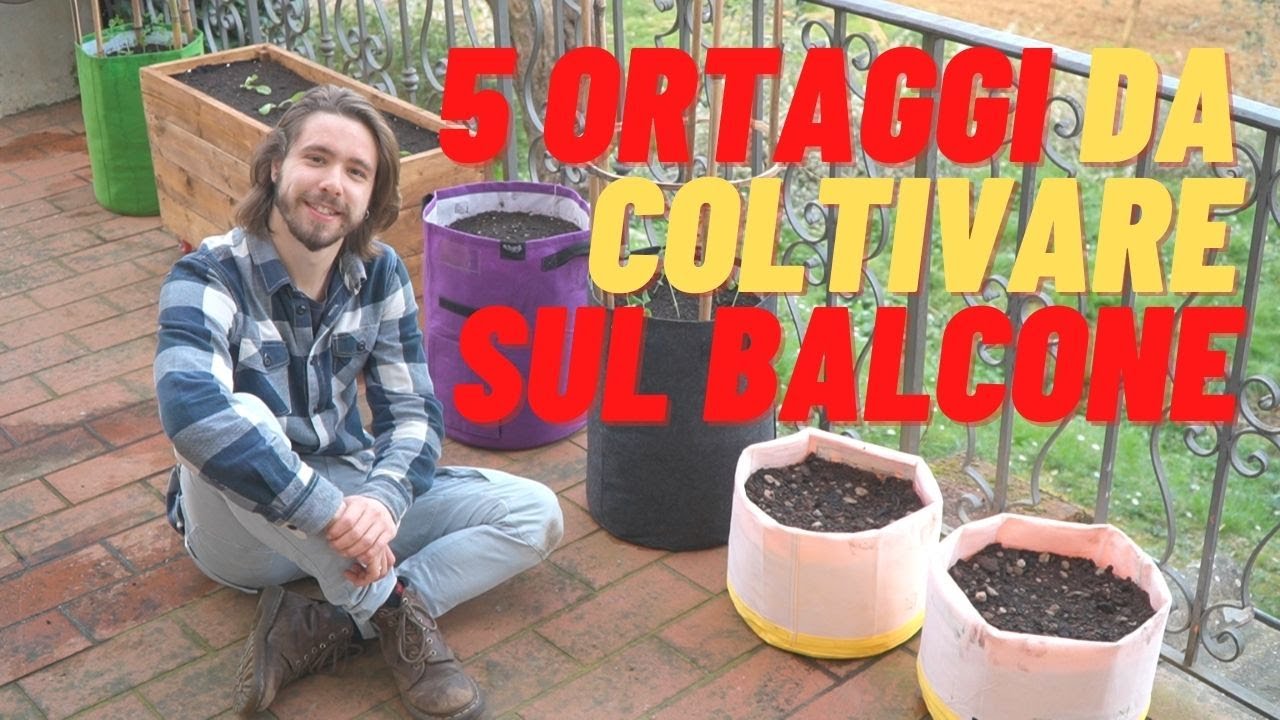 5 ORTAGGI DA COLTIVARE SUL BALCONE IN PRIMAVERA. - YouTube