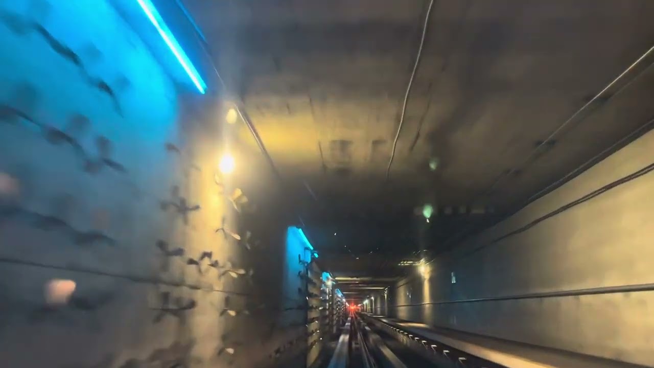 Denver Airport Train || Terminal - C Gates - 11/18/24