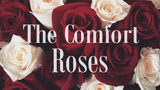 The Comfort - Roses (Sub. Español)