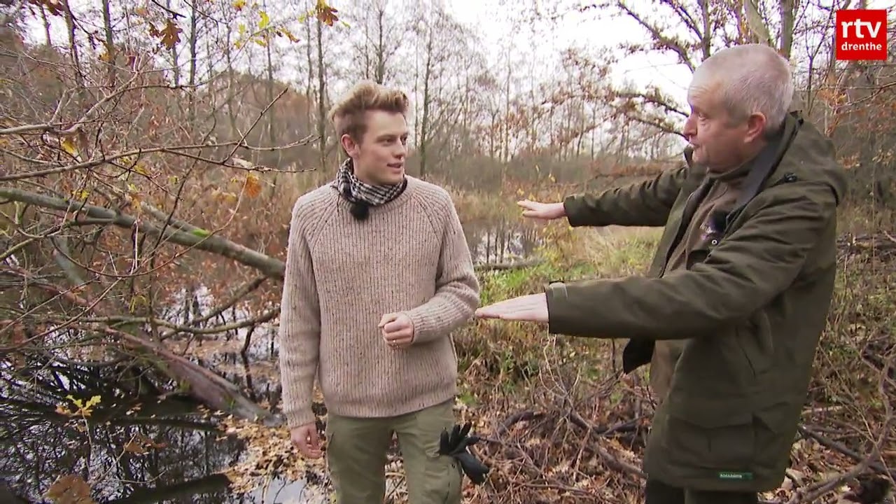 De bever in 20 jaar tijd weer helemaal terug in Noord Nederlandse landschap   (ROEG!-beverspecial)