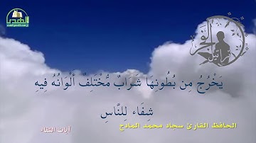 آيات الشفاء - الحافظ القارئ سجاد محمد المادح