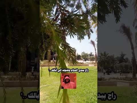 راح يبدي الدوام وتشوف الي ابالك