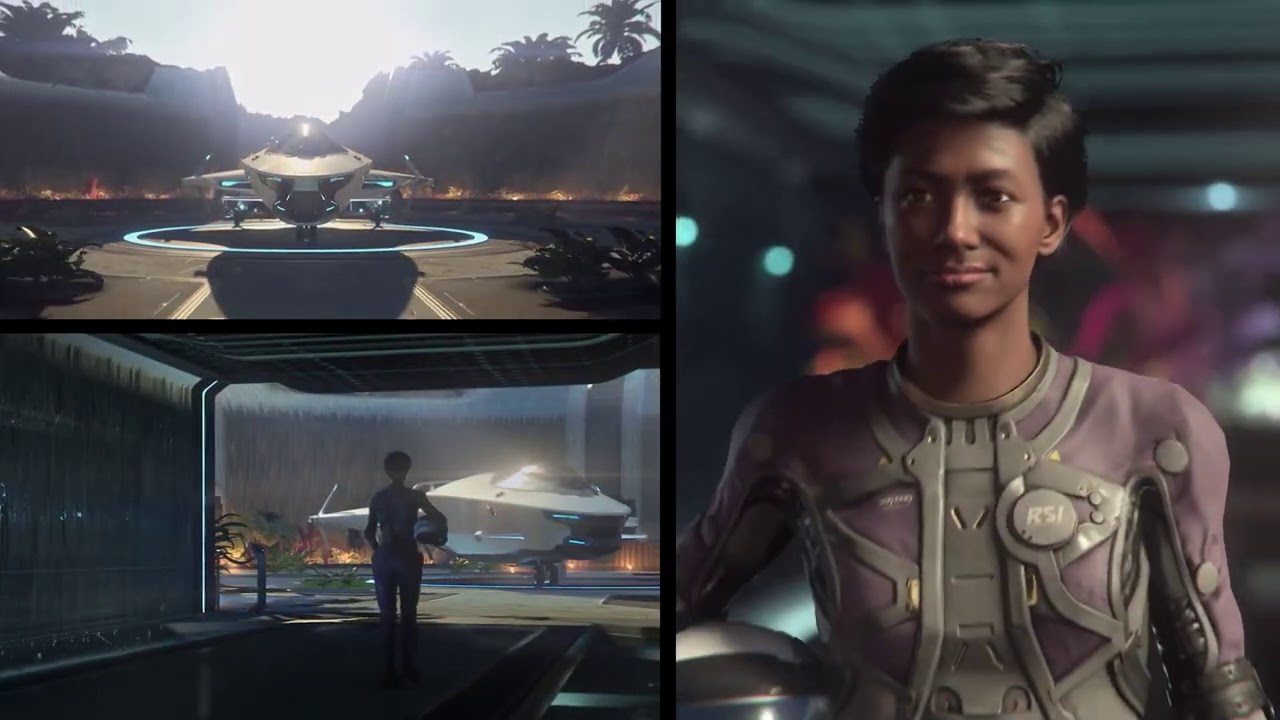 Star Citizen MAY CONTAIN SPOILERS - Is the [REDACTED] Ship Real?