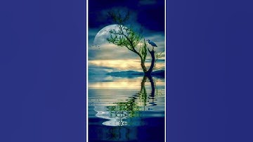 سورة الضحي بصوت القارئ إسلام صبحي