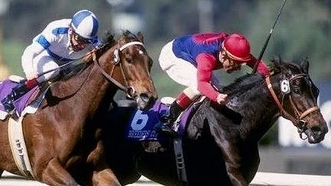 1993 Breeders' Cup Distaff - Hollywood Wildcat + P...