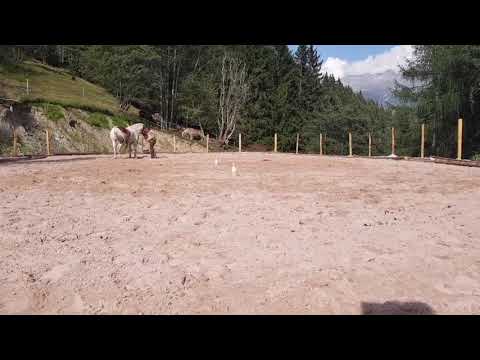 Warten & Herkommen, Zirkeln mit 360° Turns