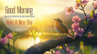 POWERFUL MORNING MUSIC - Rise and Shine with Pure Positive Energy - Soft Morning Meditation Music screenshot 4
