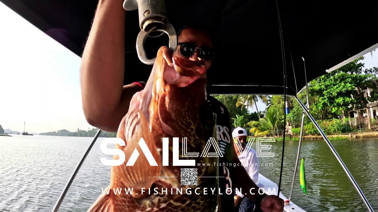 Bolgoda Lake Fishing Escapes Await with SAIL LA VE