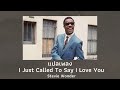 แปลเพลง I Just Called To Say I Love You - Stevie Wonder (Thaisub ความหมาย ซับไทย)