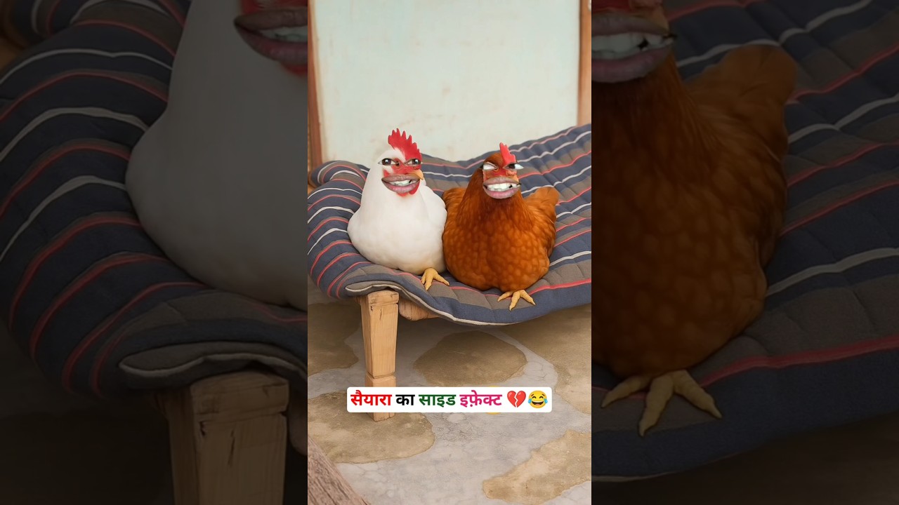 सैयारा का साइड इफ़ेक्ट 💔🐔😂🤣 