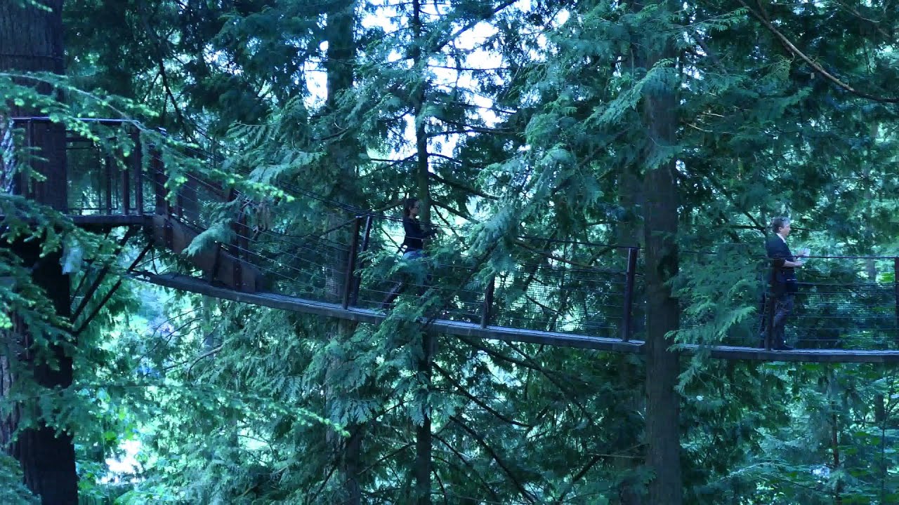 Treetop Adventure in Capilano Suspension Bridge park 2 YouTube