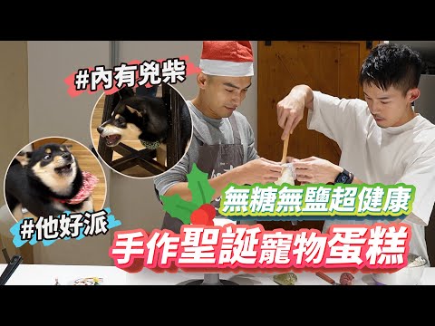 聖誕狗狗鮮食饗宴，柴犬互追拆家有夠派【雅各Jacob】