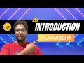 Introduction playwright