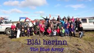 Clean Up 2016 at Selvogur shoreline