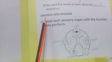 Oxford Supplementary Reading Material Understanding Stem Unit 3 All About Me / Solved exercise
