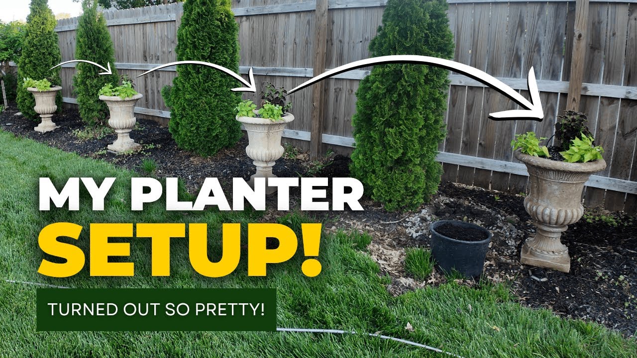 Conifer Row Planter Potting | DIY Evergreen Container Gardening for All Seasons 🌲🌿