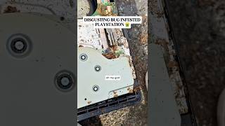 Fixing DISGUSTING Bug Infested PlayStation 🤮🤮 #shorts #moneytalkswireless