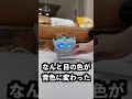 一度閉まると二度と開かない箱の開け方が意外すぎた！