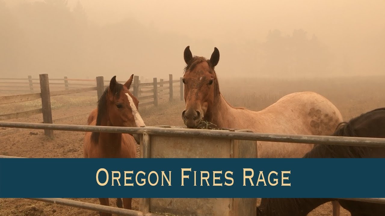 Evacuating Horses From Oregon Fires