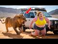 Wild Animal Encounters That Happened in Seconds and Changed Everything