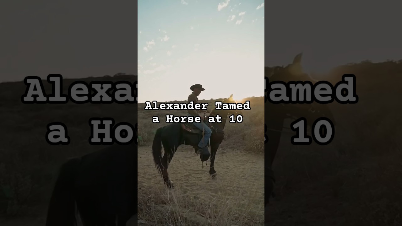 Alexander the Great's First Conquest Was a Horse