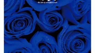 凛 -The End Of Corruption World- Freedom