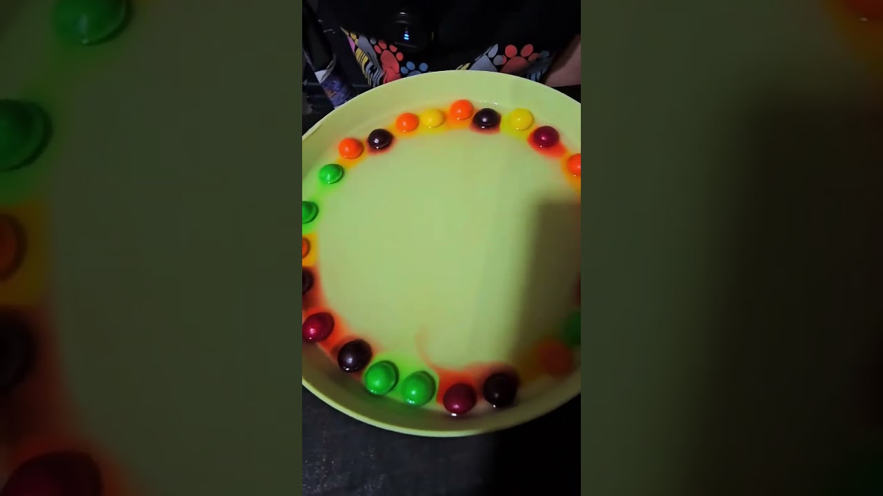 Skittles Rainbow Science Experiment  Fun & Easy Candy Experiments at Home