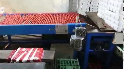 Cherry tomato washing, sorting machine